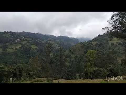 VENDO O PERMUTO HERMOSO TERRENO EN CHOACHI CUNDINAMARCA 2 HECTAREAS (20.000 MTS2)