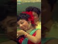 MGR 70s Love Song Netru Indru Naalai T M S P Susheela Shorts Music Song