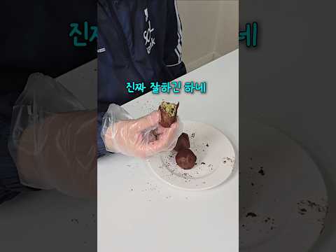디저트 못 한다고 무시하는 친구한테 두바이쫀득쿠키 만들어주기 #자취요리