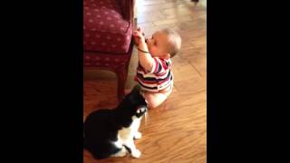 Baby Z-man and cat Heidi play w hair band