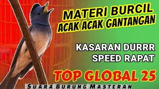 Download lagu SIAP ACAK ACAK GANTANGAN!! MASTERAN BURUNG KECIL Tembakan Rapat dan Kasar - TOP GLOBAL 2025 mp3 Download lagu SIAP ACAK ACAK GANTANGAN!! MASTERAN BURUNG KECIL Tembakan Rapat dan Kasar - TOP GLOBAL 2025 mp3