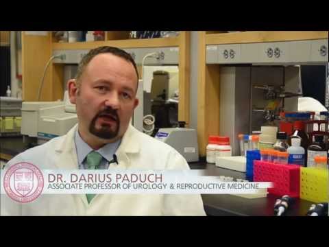 Dr Paduch's article commentary