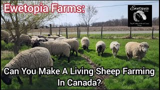 Ewetopia Farms: Can You Make A Living Sheep Farming In Canada? |May 2022