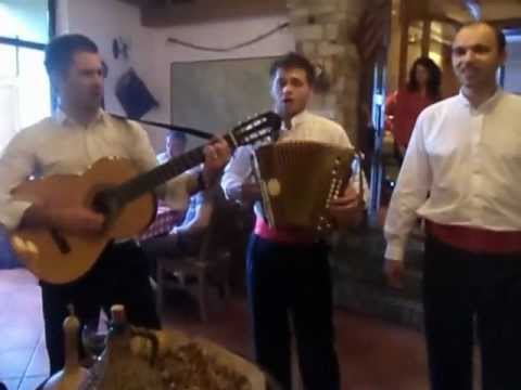 Klapa "Geta" iz Orebića - u konobi "Tinel" u Subotici - april 2012 - Lovro Katalinić ( drži