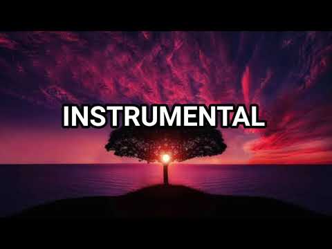 Negativ si Versuri - Fratii din Barbulesti - Eu am un Domn