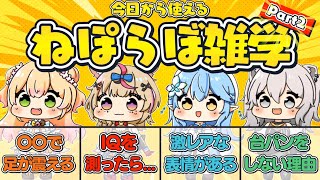 【#2】ねぽらぼ雑学/小ネタまとめ【ホロライブ/切り抜き/桃鈴ねね/尾丸ポルカ/雪花ラミィ/獅白ぼたん/Vtuber/豆知識】