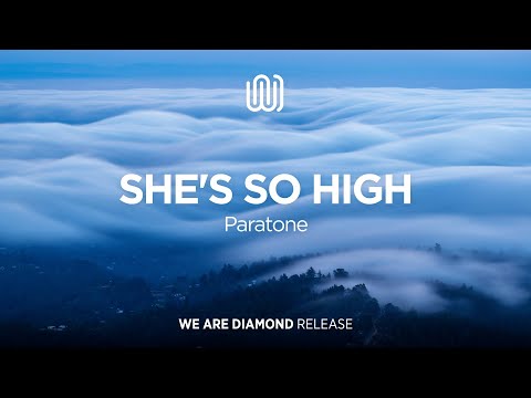 Paratone - She's so High