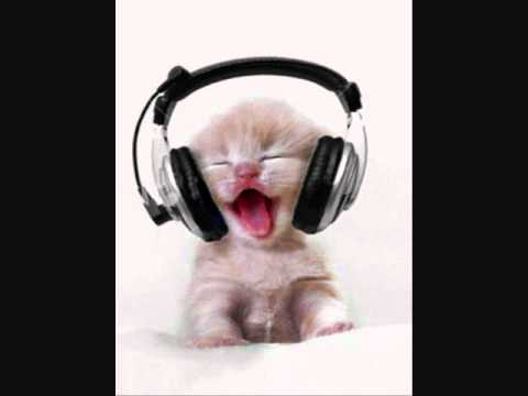 LEMA SCRATCH DJ CUMBIA ECUATORIANA