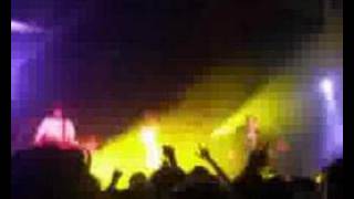 Larrikin Love - Downing St. Kindling