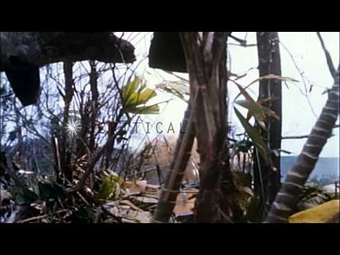 U.S. Air Force Jet fighter bombers bomb Viet Cong positions during Operation JEB ...HD Stock Footage