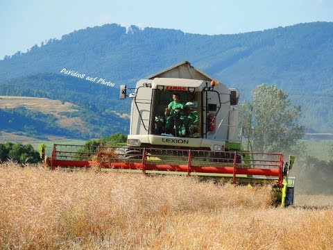 PD Dobrá Niva - Žatva repky olejnej 2015 - 2x CLAAS Lexion, 2x NEW Holland, 2x Tatra 815 Agro