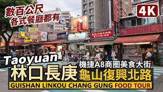 Taoyuan／桃園龜山林口長庚醫院、A8商圈「復興北路美食街」Fuxing North Road Food Street (Linkou Chang Gung Hospital, Guishan)