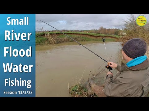 Small River Floodwater Fishing - Fishing A Small River In Spate - 13/3/23 (Video 392)