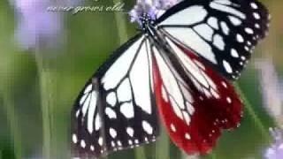 Ten years after -The bluest blues/Stop apartheid in Israel!!