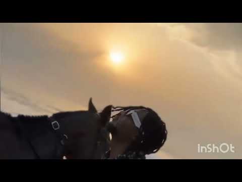 sethlo feat willy-baby believe 2023