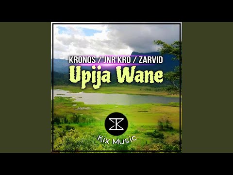 UPIJA WANE (feat. Jnr Kro/ Zarvid)