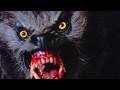 American Werewolf In London Werewolf Goes On A Killing Streak