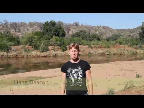 Pafuri Walking Trail Northern Kruger: Interview with British Tourists