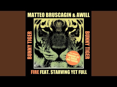 Fire (Sharam Jey, Bakka (BR) Remix)