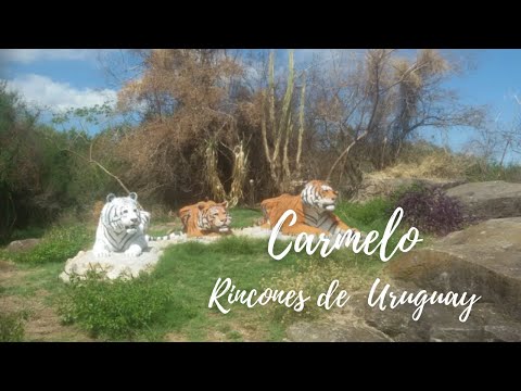 Parque de Esculturas Velarde Gil, circuito ecoturismo de Carmelo Colonia.