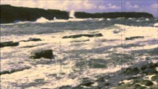 The West Wind/Sean Reid's (reels)