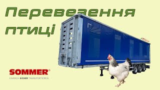 Sommer S1 | PID ZAMOVLENNYa fjäderfätransport semitrailer till salu - Bild 5 | Autoline SE Ny Sommer S1 | PID ZAMOVLENNYa fjäderfätransport semitrailer | Bild 5 - Autoline