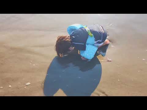 Brad Barr and The Barr Brothers