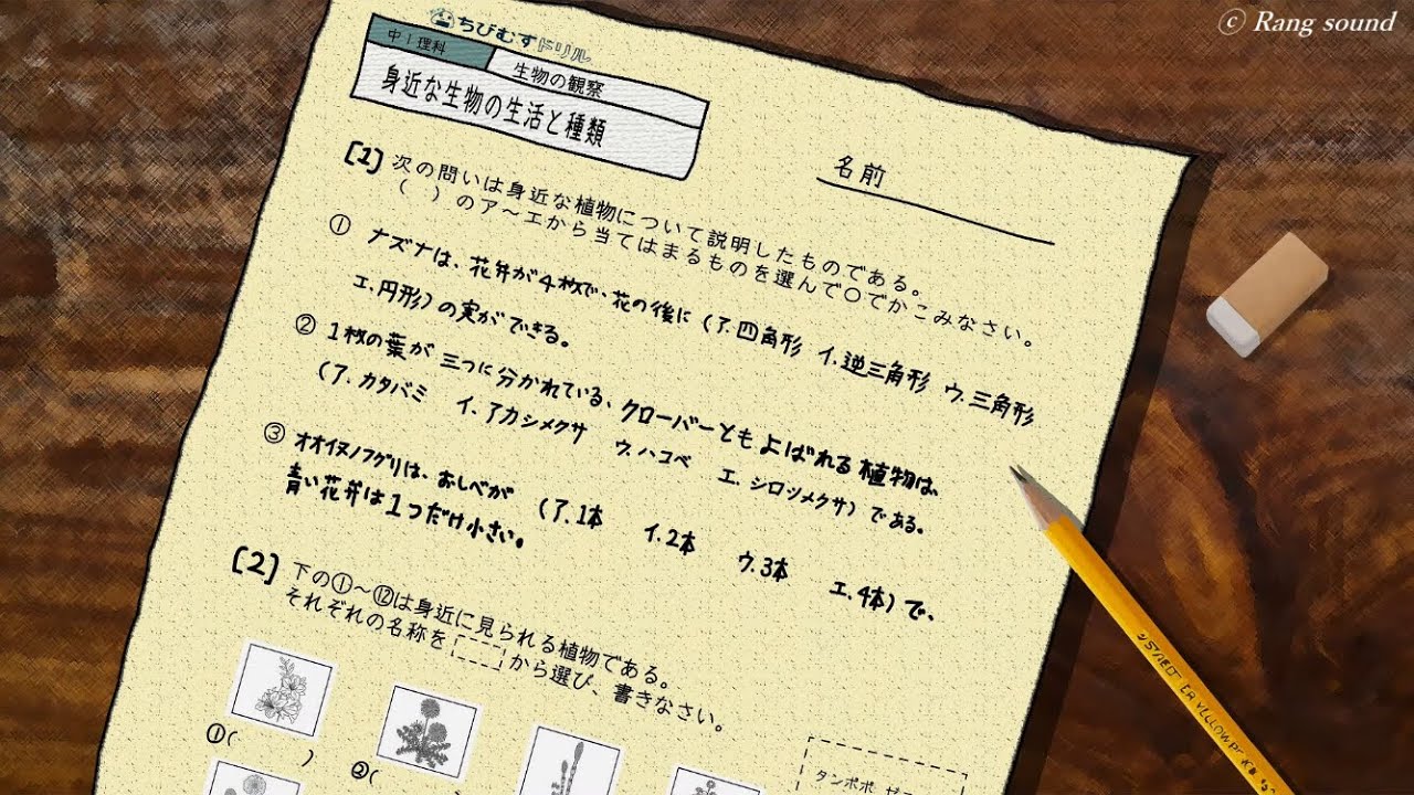 [#ASMR] 集中力向上⤴⤴ 試験用1hr 📚white noise asmr study