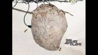 Sky Eats Airplane-Photographic Memory