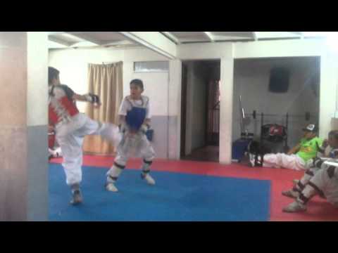 Joaquín taewondo Fenix