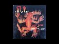 DI - Shadow of A Fool