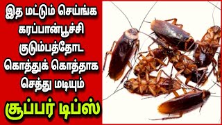 ஒரே இரவில் கரப்பான் பூச்சி கூண்டோடு அழிய இந்த வீடியோ பாருங்க/How to control cockroach at home Tamil