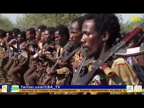 Human rights bodies accuse Ethiopia militias of Tigray ethnic cleansing