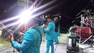 Aguanta corazon &amp; caballito de mar by Conjunto Nub