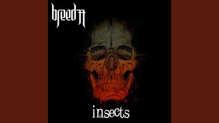 Insects