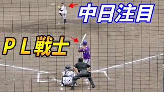 動画を再生