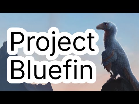 Bluefin Linux introduction