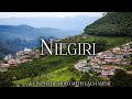 Ooty Nilgiri Hills 4K Ultra HD Peaceful Nature Video Relaxing Music