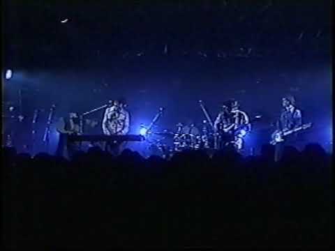 WONDERMINTS - Porpoise Song (live)