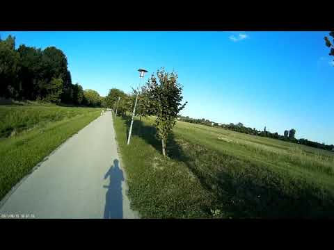 Darázscsípés - Wasp sting