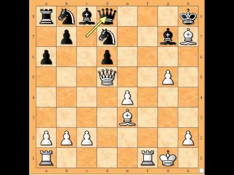Važnost šahovske inicijative - SHIROV vs POLGAR - Sicilijanska odb. # 423