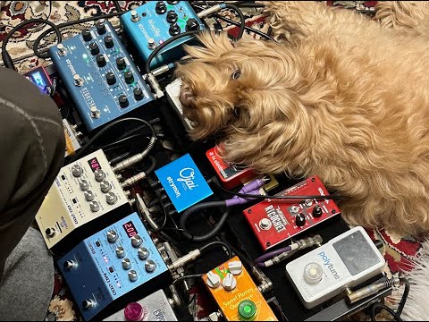 Tomomi Ukumori - Summer solstice 2024 Part 2 #crystalbowls #mantramusic #improvisationmusic