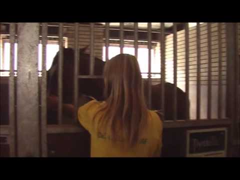 RJV de Ruif jeugdweekend 2013