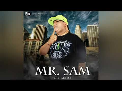 Mr Sam - Mix  ( The Artist ) @Ronnie_Samuel_Pty