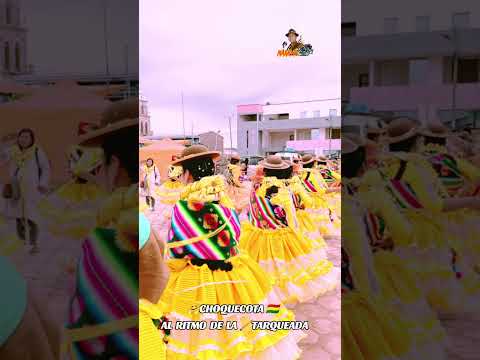 TARQUEADA REAL LOS MALLKUS 🐯 DE CHOQUECOTA ORURO BOLIVIA 🇧🇴