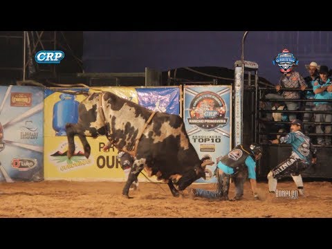 Rodeio de São Pedro do Turvo 2017 - MOMENTO GRINGA'S / QUINTA FEIRA