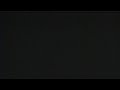 White Screen Of Death With Clicking Tone On My True Lies 1995 VHS Version 1