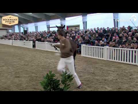 Hengstanwärter von Danzador