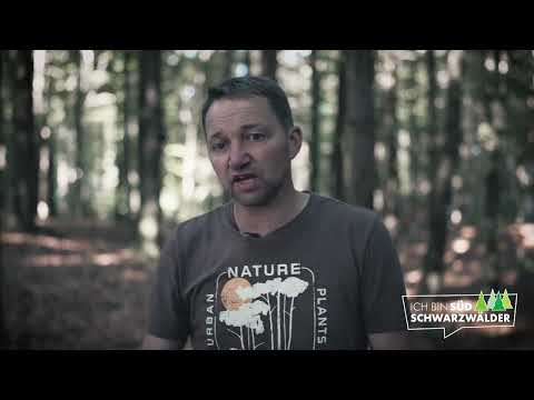 Südschwarzwälder Homestories – Demokratie im Hotzenwald 🕰 Folge 49