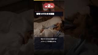 実は疲れやすい人の就寝前行動 #健康 #健康習慣 #プチ知識